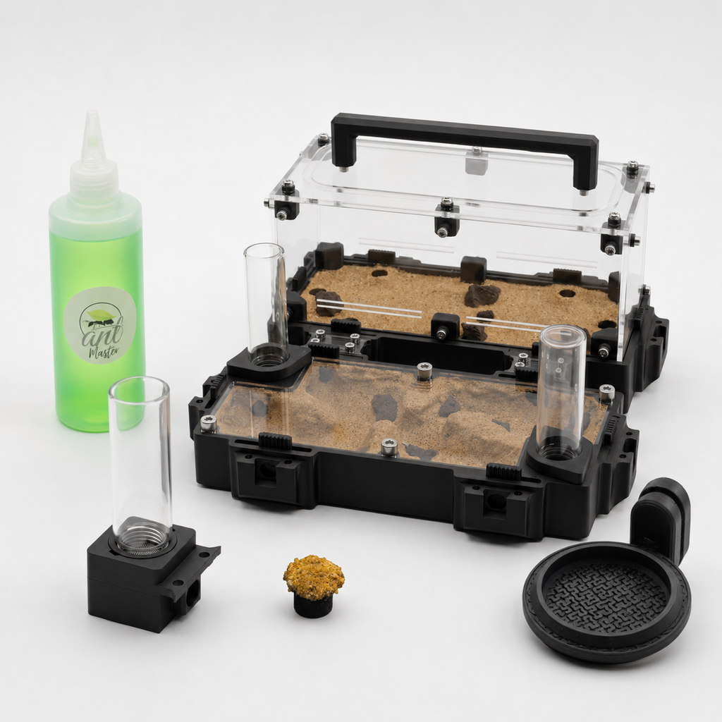Kit Hormiguero Terra L V2