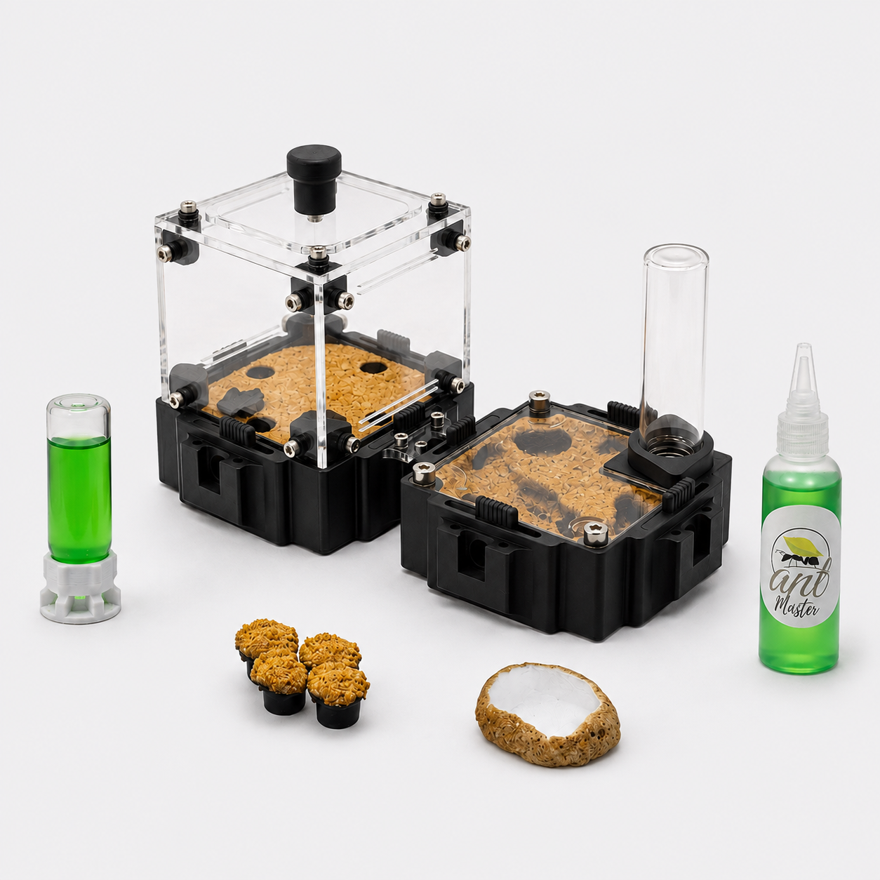 Kit Hormiguero Terra M V2