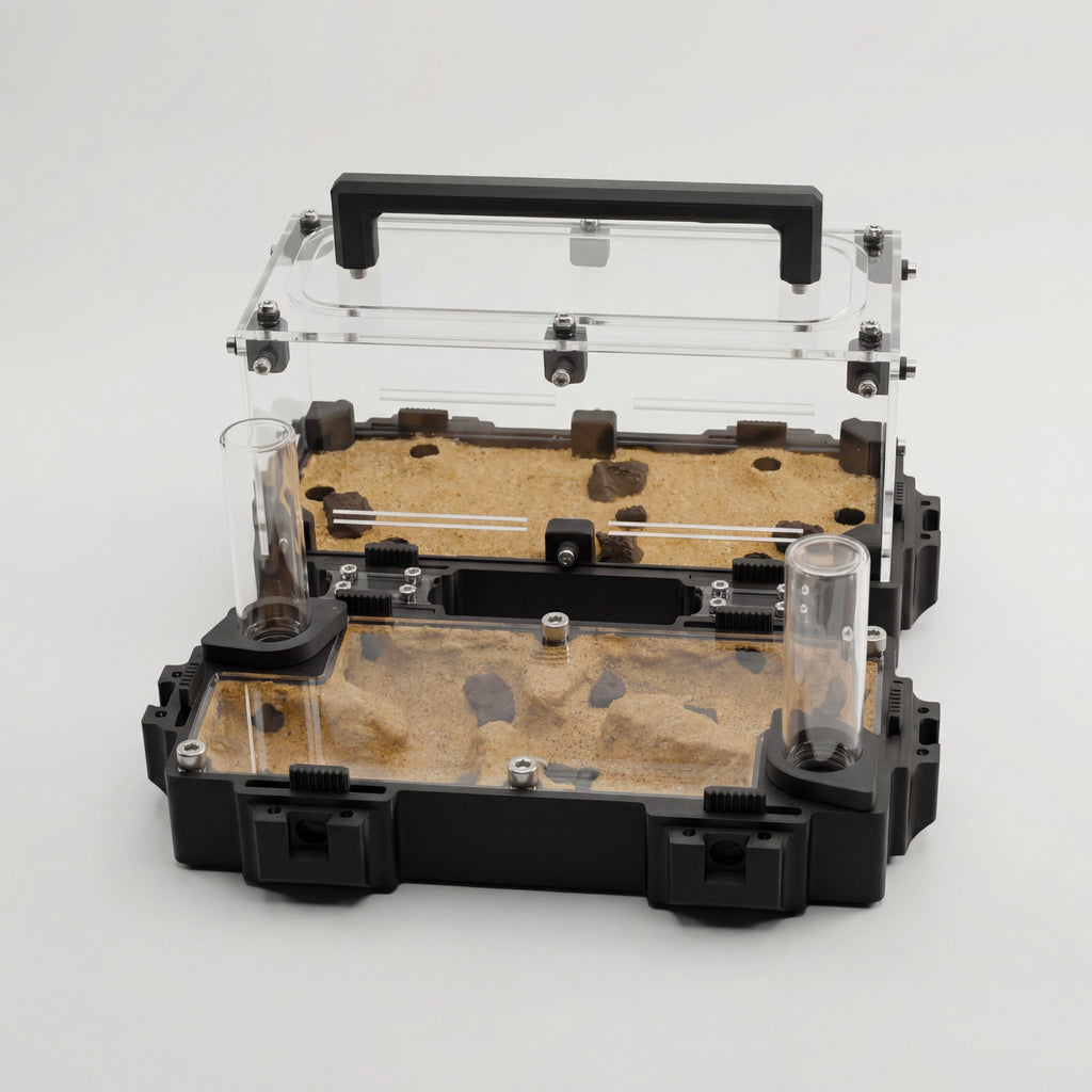 Kit Hormiguero Terra L V2