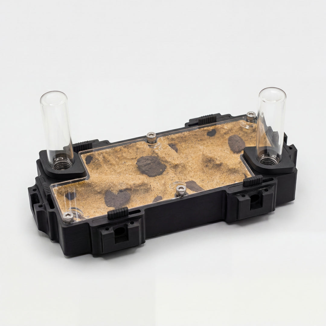 Hormigero Terra L V2