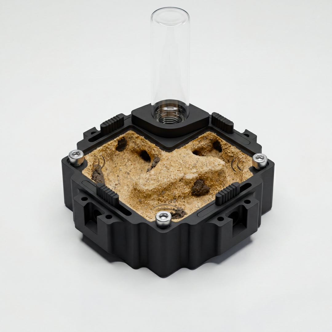 Hormiguero Terra M V2