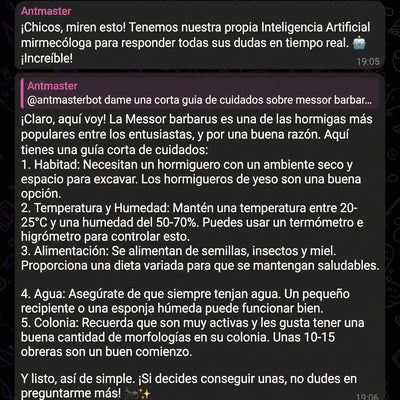 Bot con inteligencia artificial