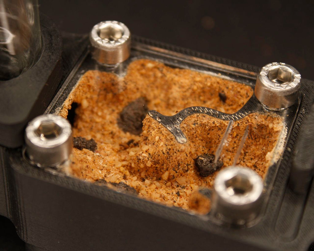 Hormiguero Terra Starter