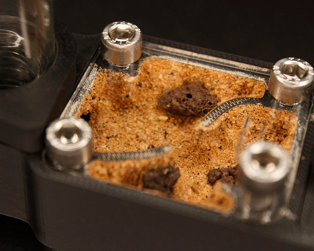 Hormiguero Terra Starter