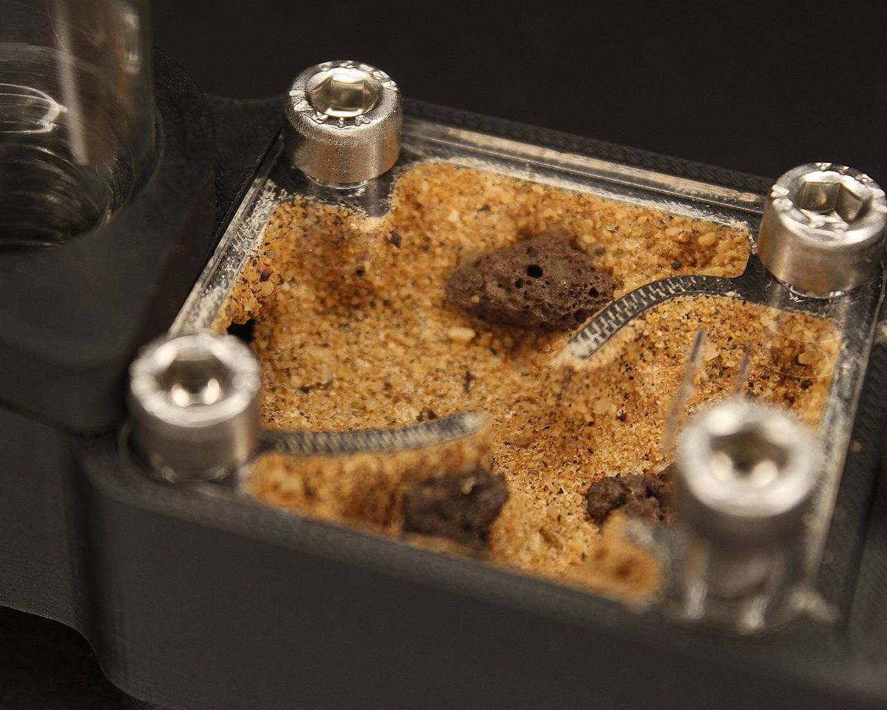 Hormiguero Terra Starter