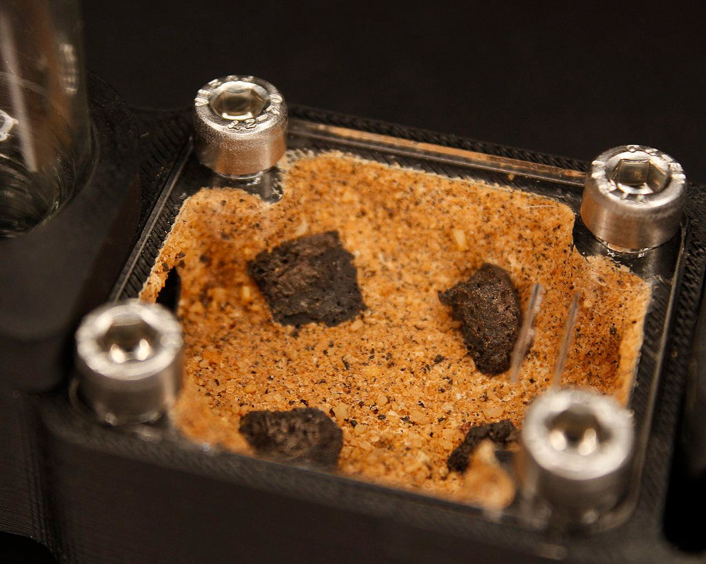 Hormiguero Terra Starter