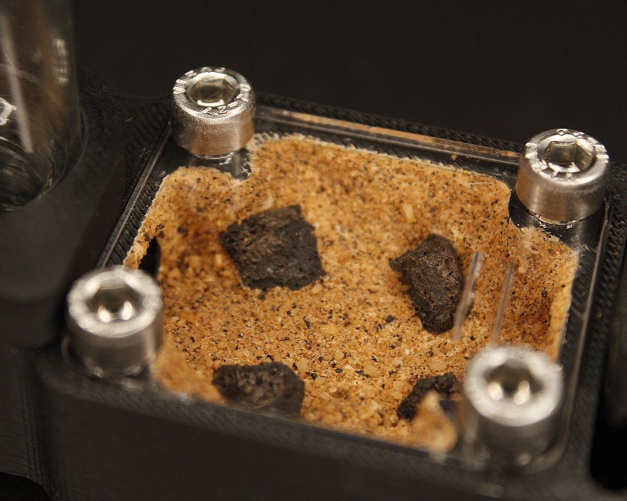 Hormiguero Terra Starter