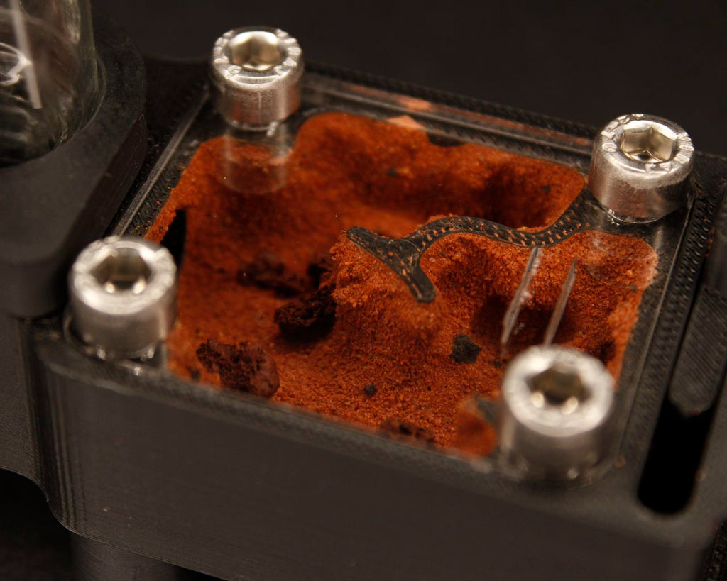 Hormiguero Terra Starter