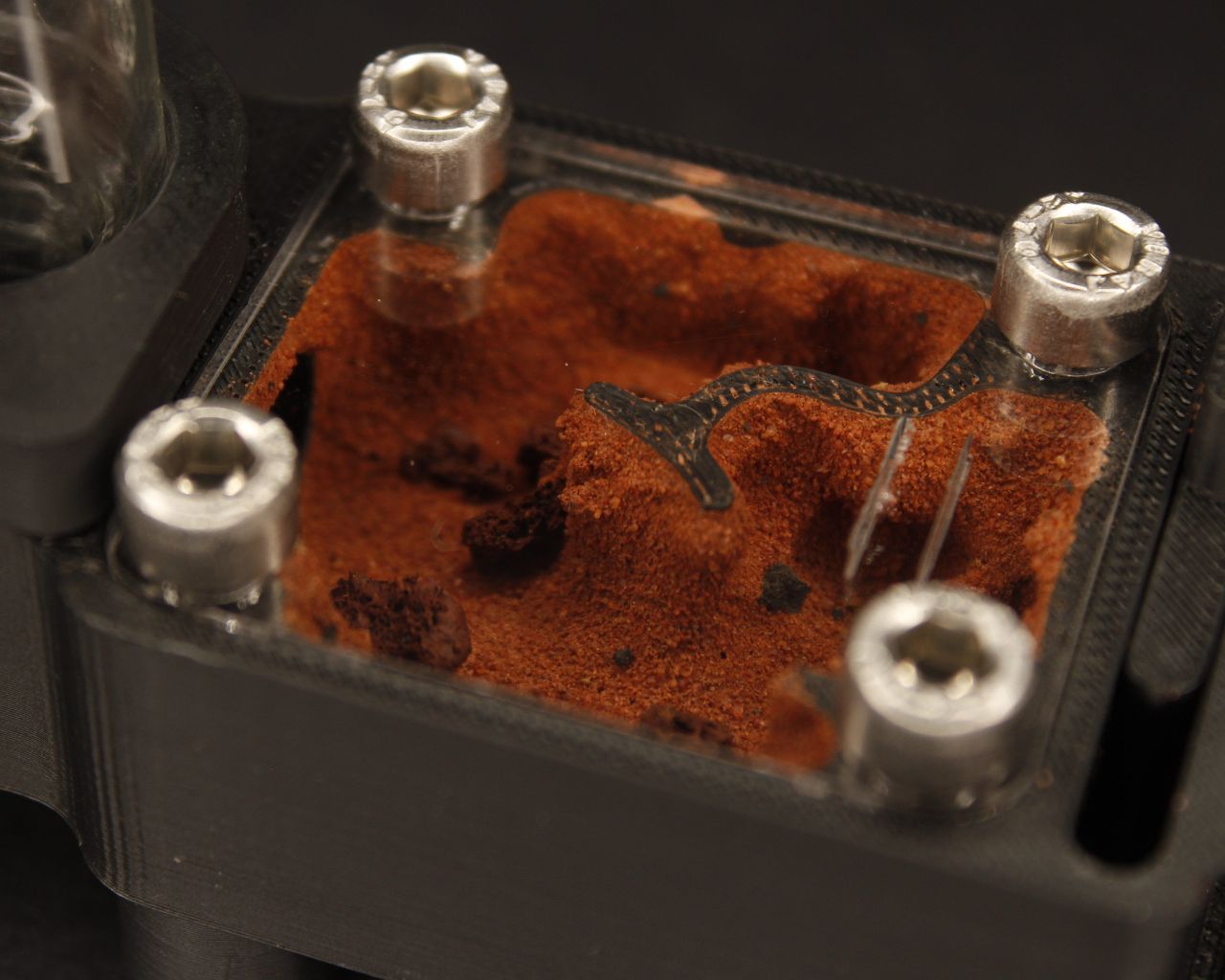 Hormiguero Terra Starter