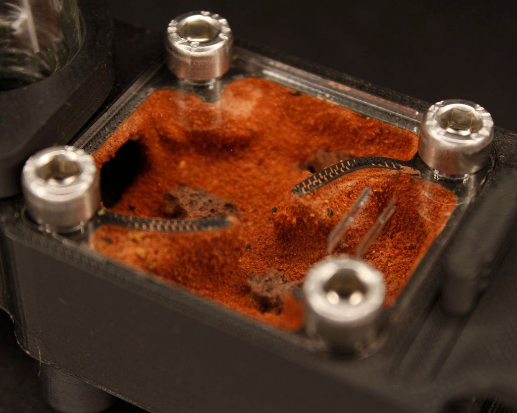 Hormiguero Terra Starter