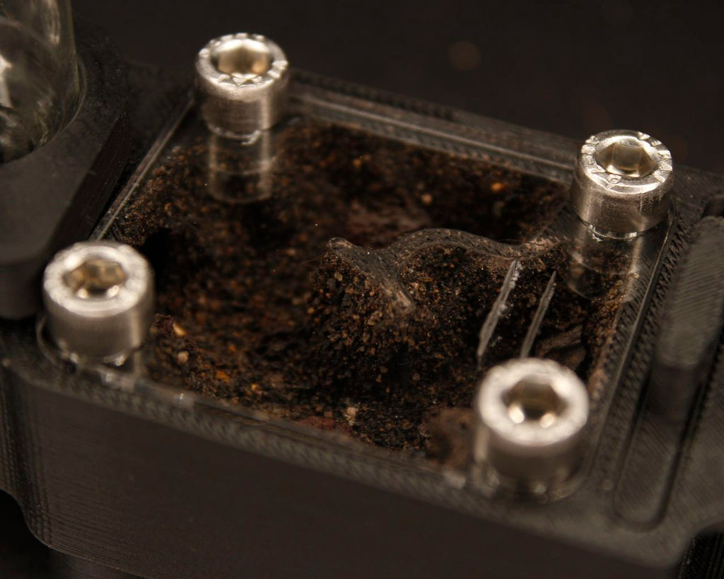 Hormiguero Terra Starter