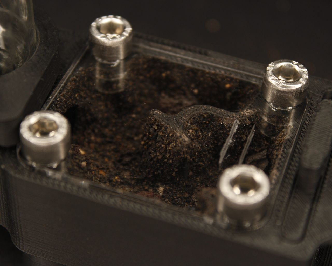 Hormiguero Terra Starter