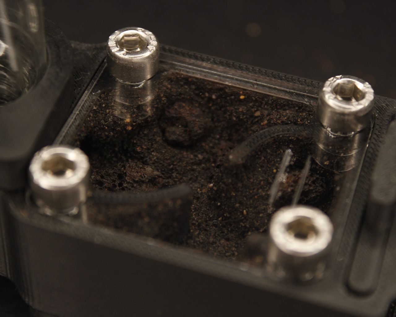 Hormiguero Terra Starter