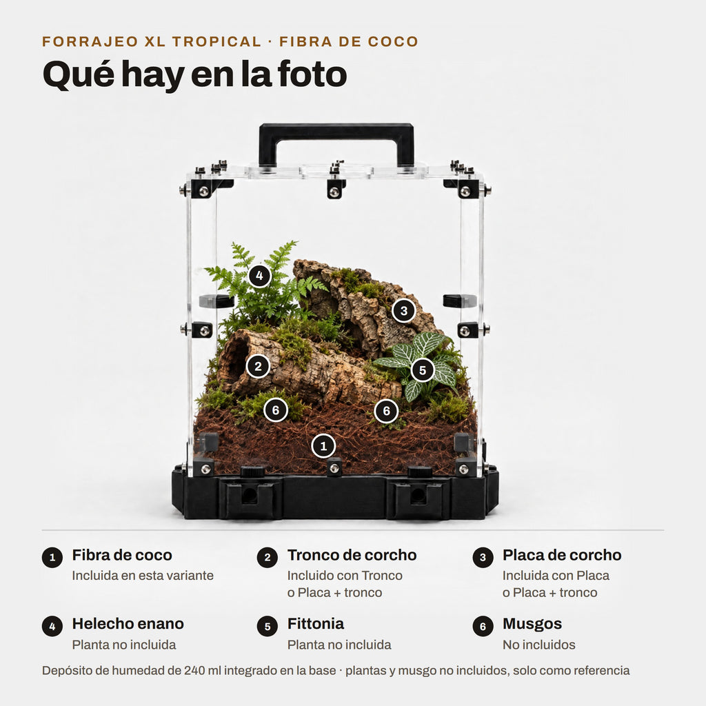 Forrajeo XL Tropical con fibra de coco: qué hay en la foto (sustrato, corcho y plantas de referencia no incluidas)