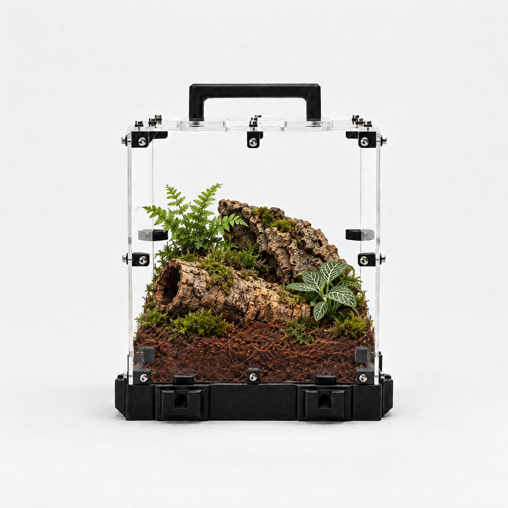 Forrajeo XL Tropical con sustrato de fibra de coco, troncos de corcho y plantas de terrario