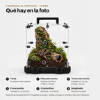 Forrajeo XL Tropical con turba: qué hay en la foto (sustrato, corcho y plantas de referencia no incluidas)