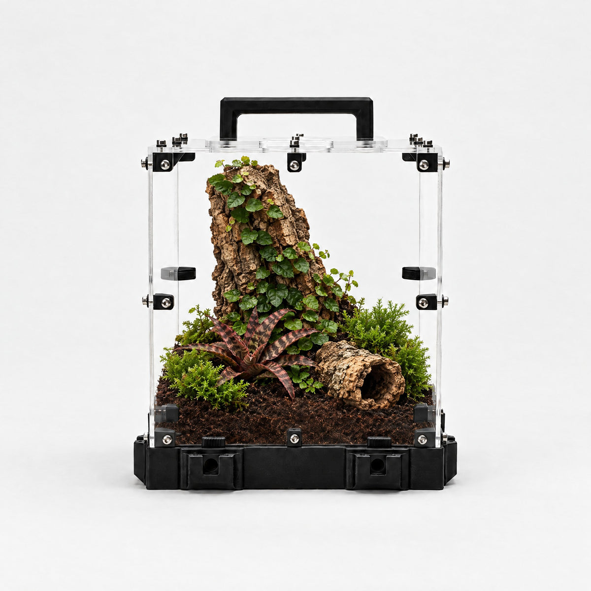 Forrajeo XL Tropical con sustrato de turba, troncos de corcho y plantas de terrario