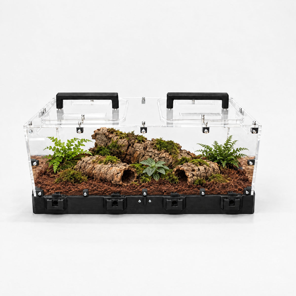 Forrajeo XXL Tropical con sustrato de fibra de coco, troncos de corcho y plantas de terrario