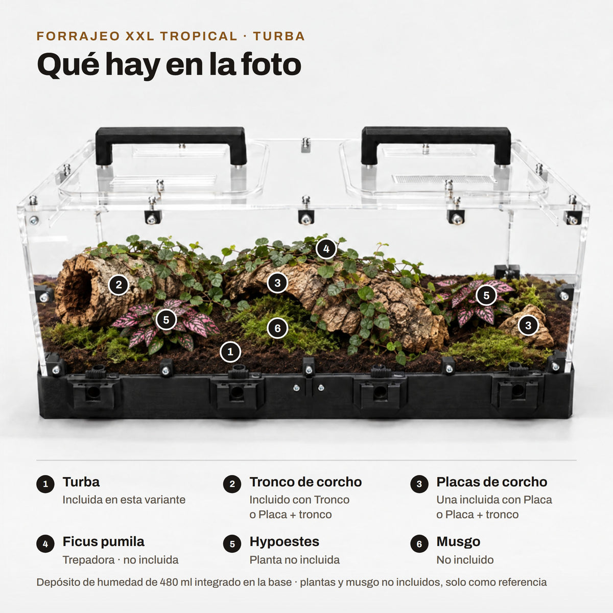 Forrajeo XXL Tropical con turba: qué hay en la foto (sustrato, corcho y plantas de referencia no incluidas)