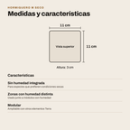 Hormiguero M Seco: medidas y características