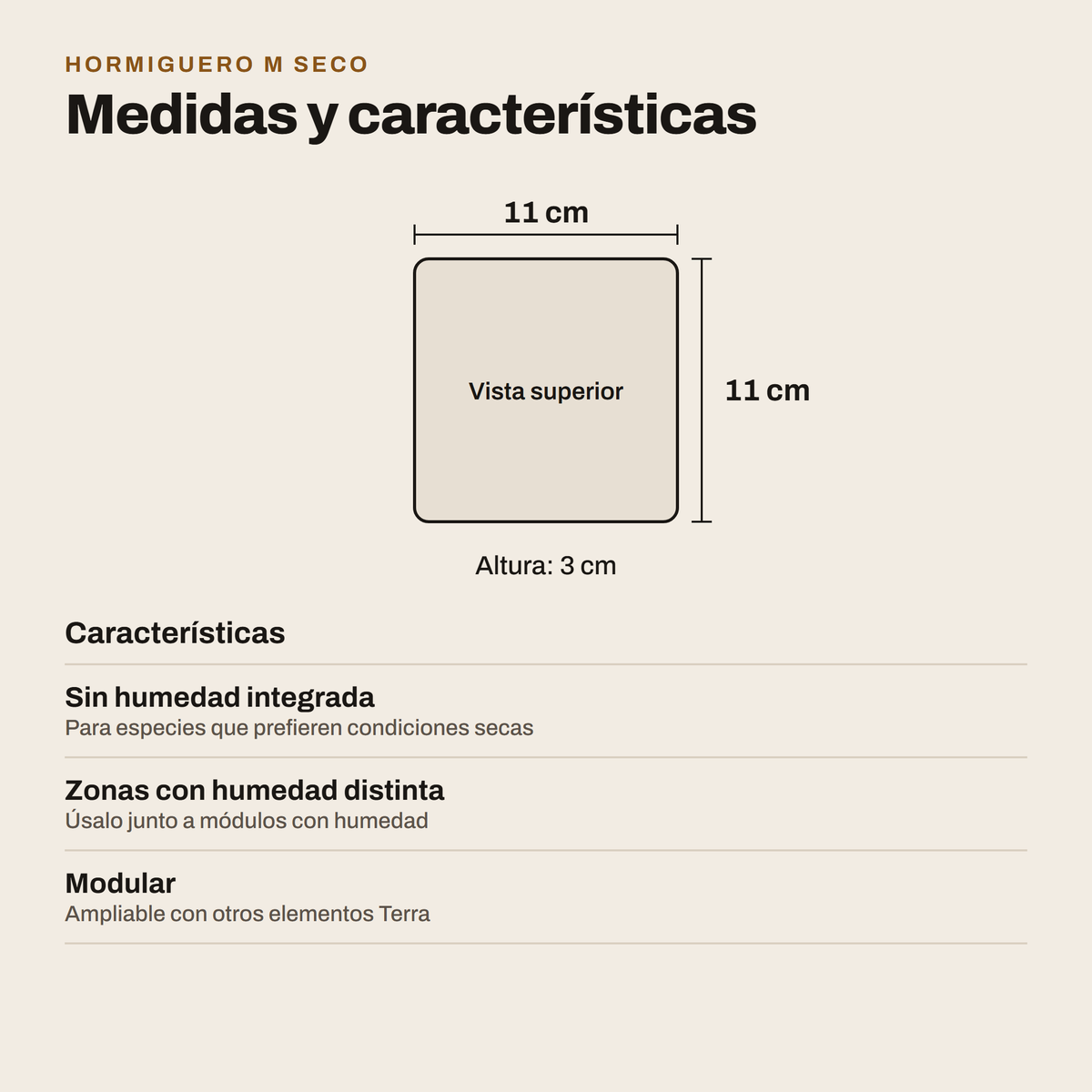Hormiguero M Seco: medidas y características