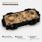 Hormiguero Terra L Seco: cómo funciona