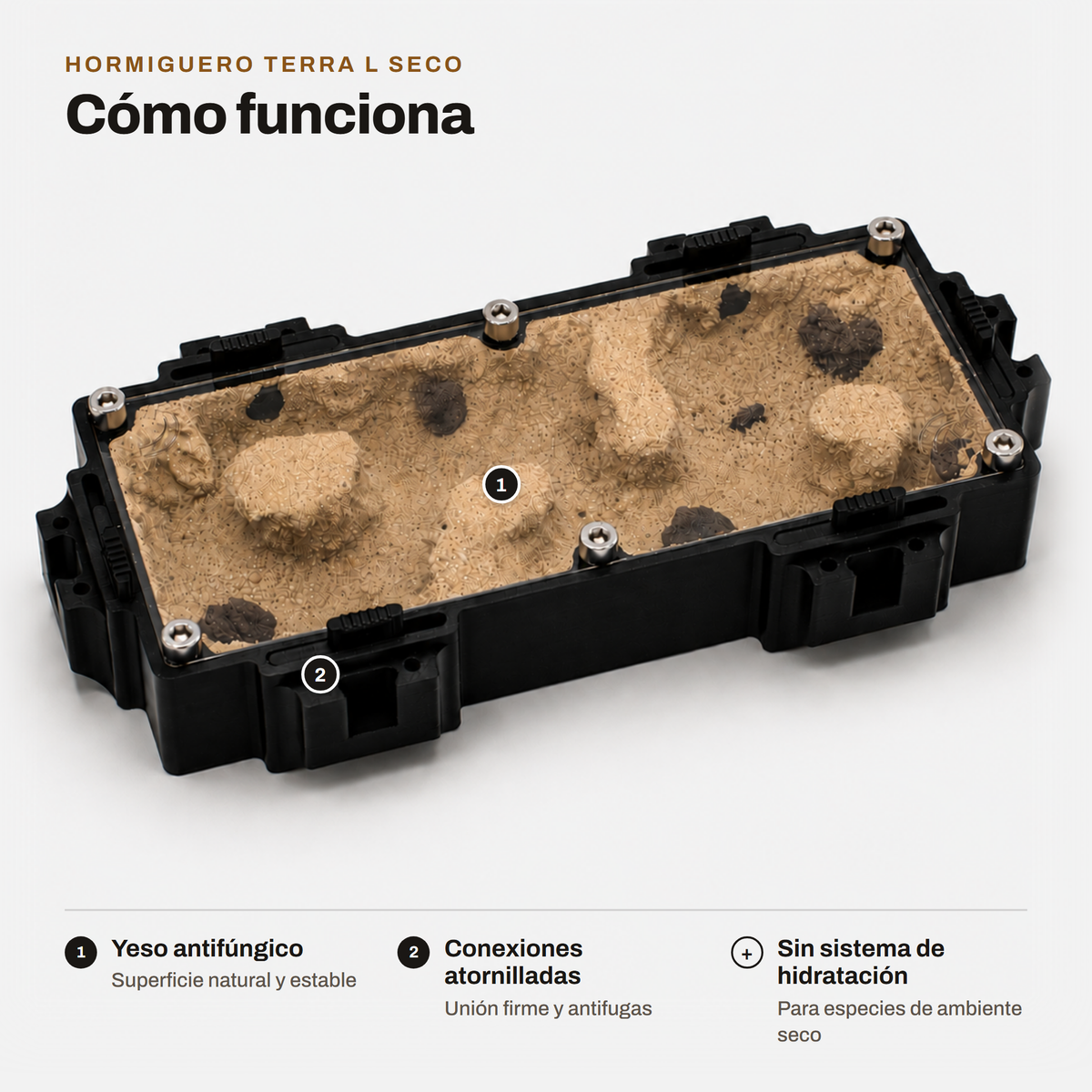 Hormiguero Terra L Seco: cómo funciona