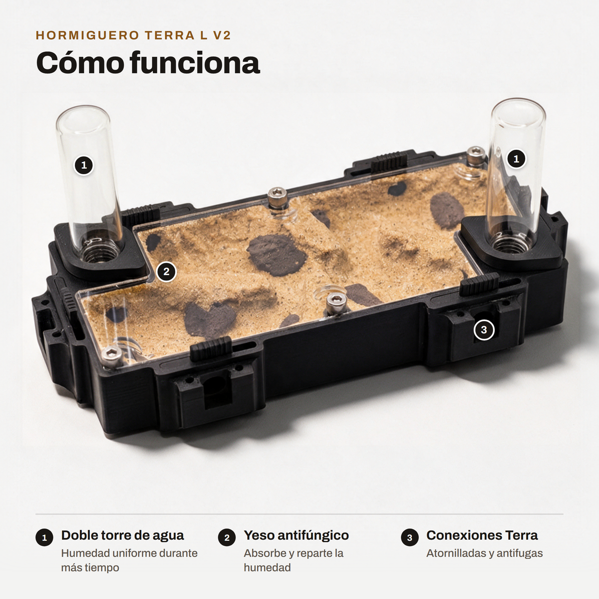 Hormiguero Terra L V2: cómo funciona
