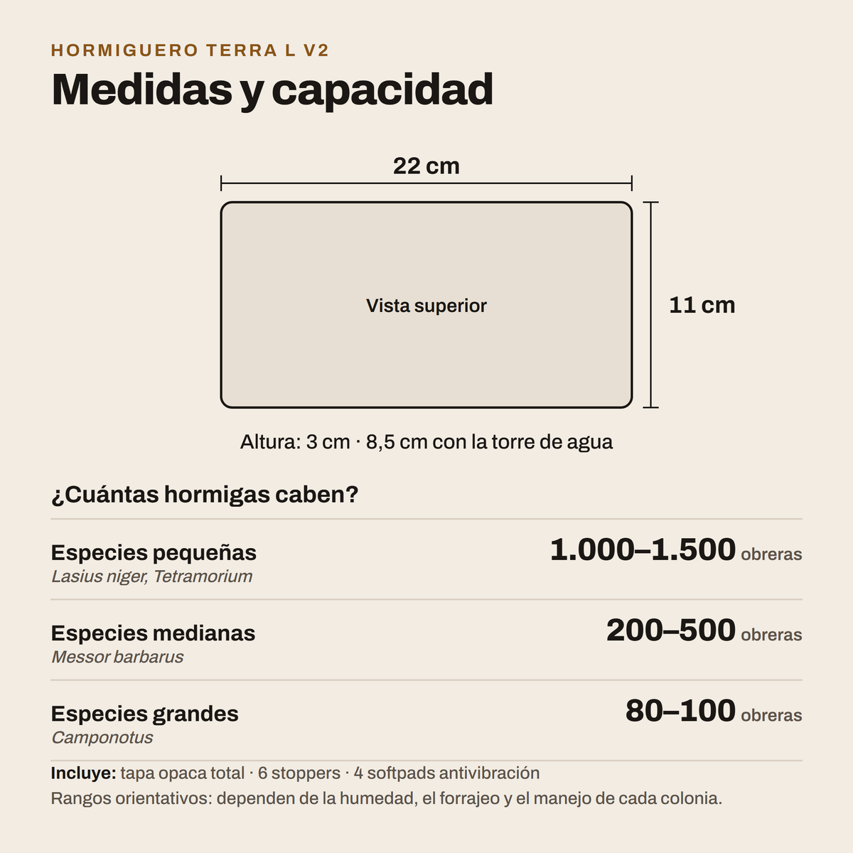 Hormiguero Terra L V2: medidas y capacidad