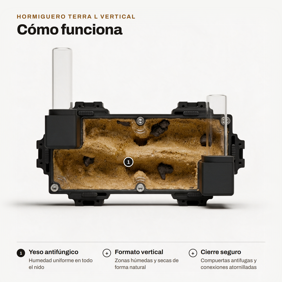 Hormiguero Terra L Vertical: cómo funciona