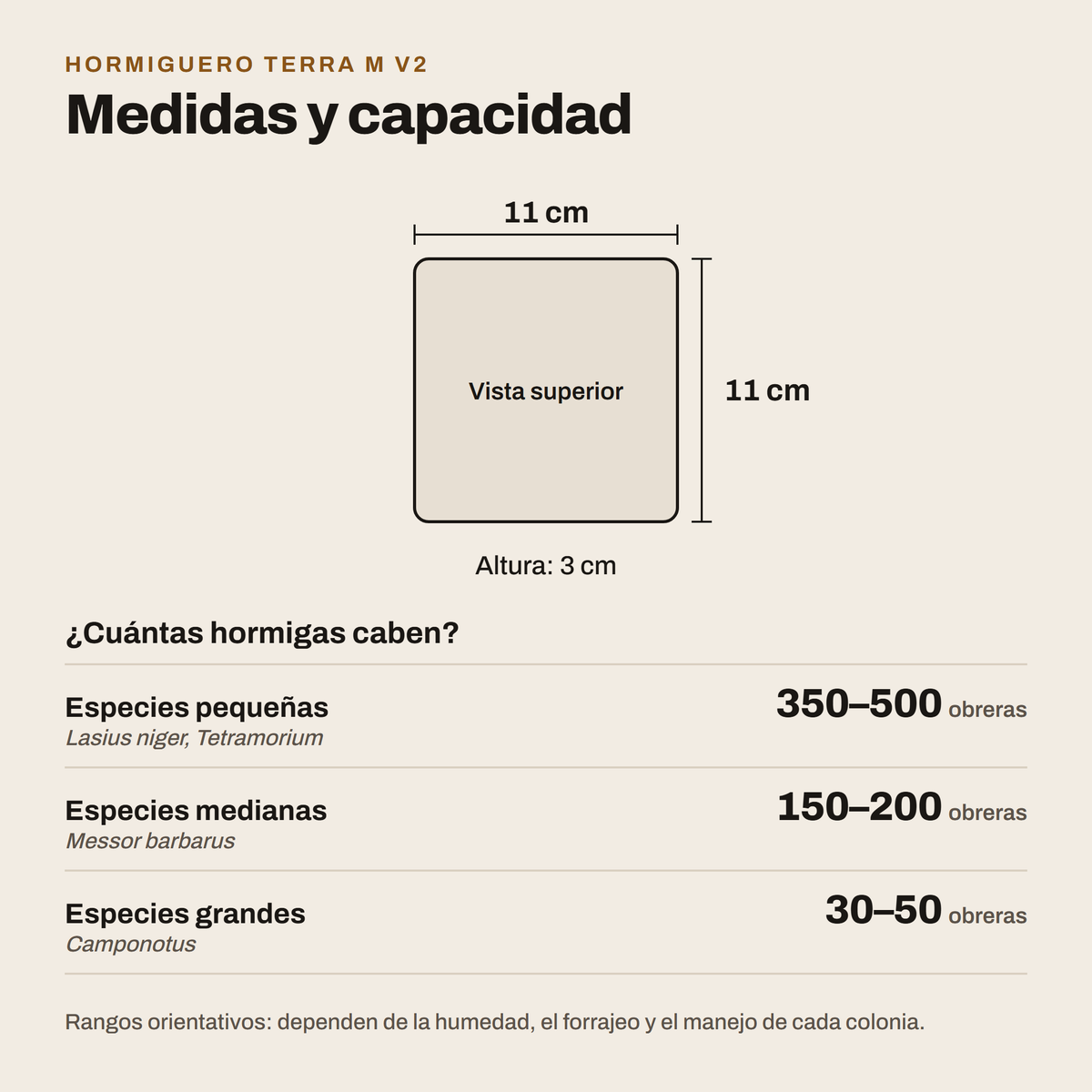 Hormiguero Terra M V2: medidas y capacidad