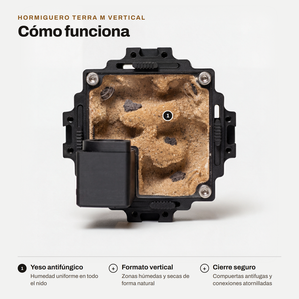 Hormiguero Terra M Vertical: cómo funciona