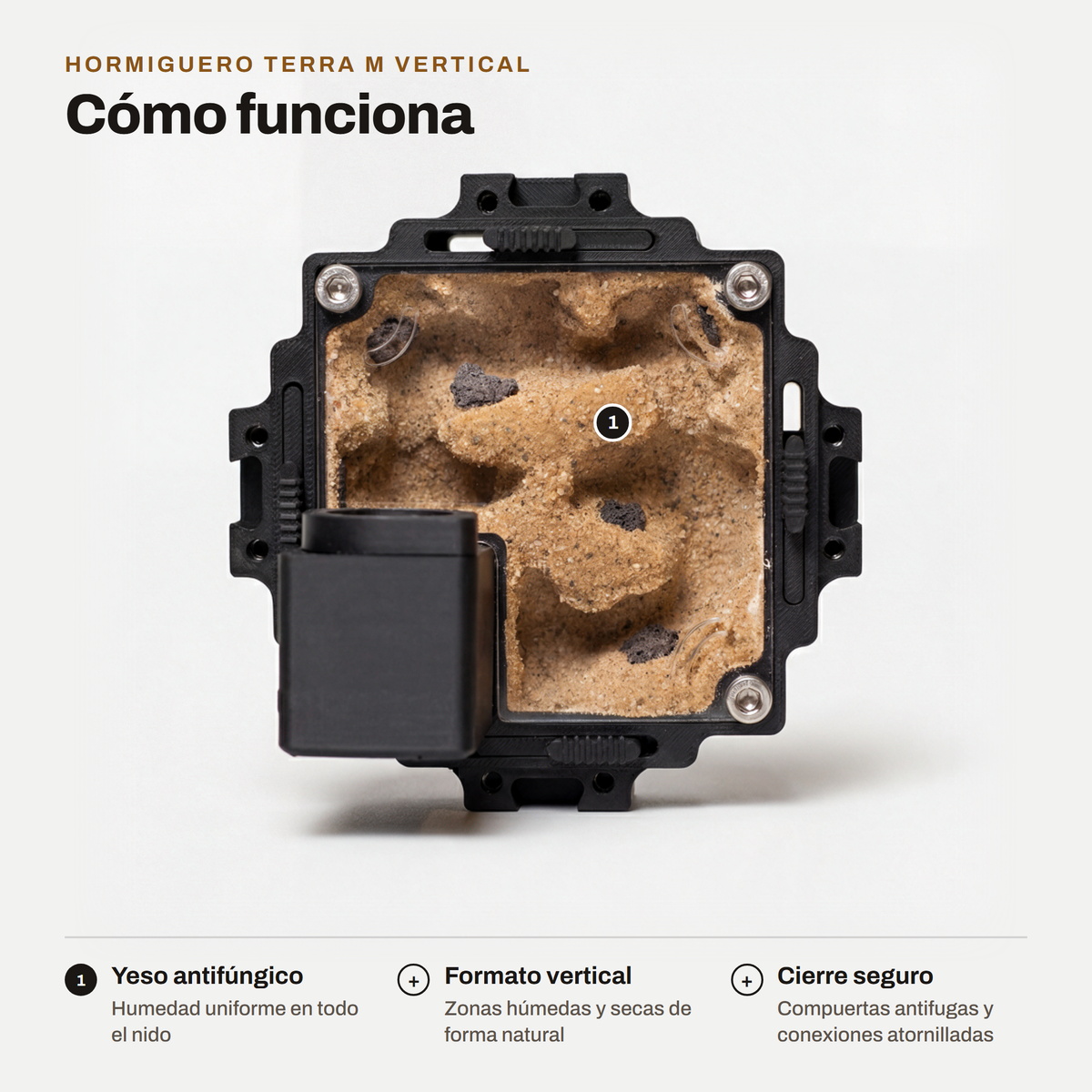 Hormiguero Terra M Vertical: cómo funciona