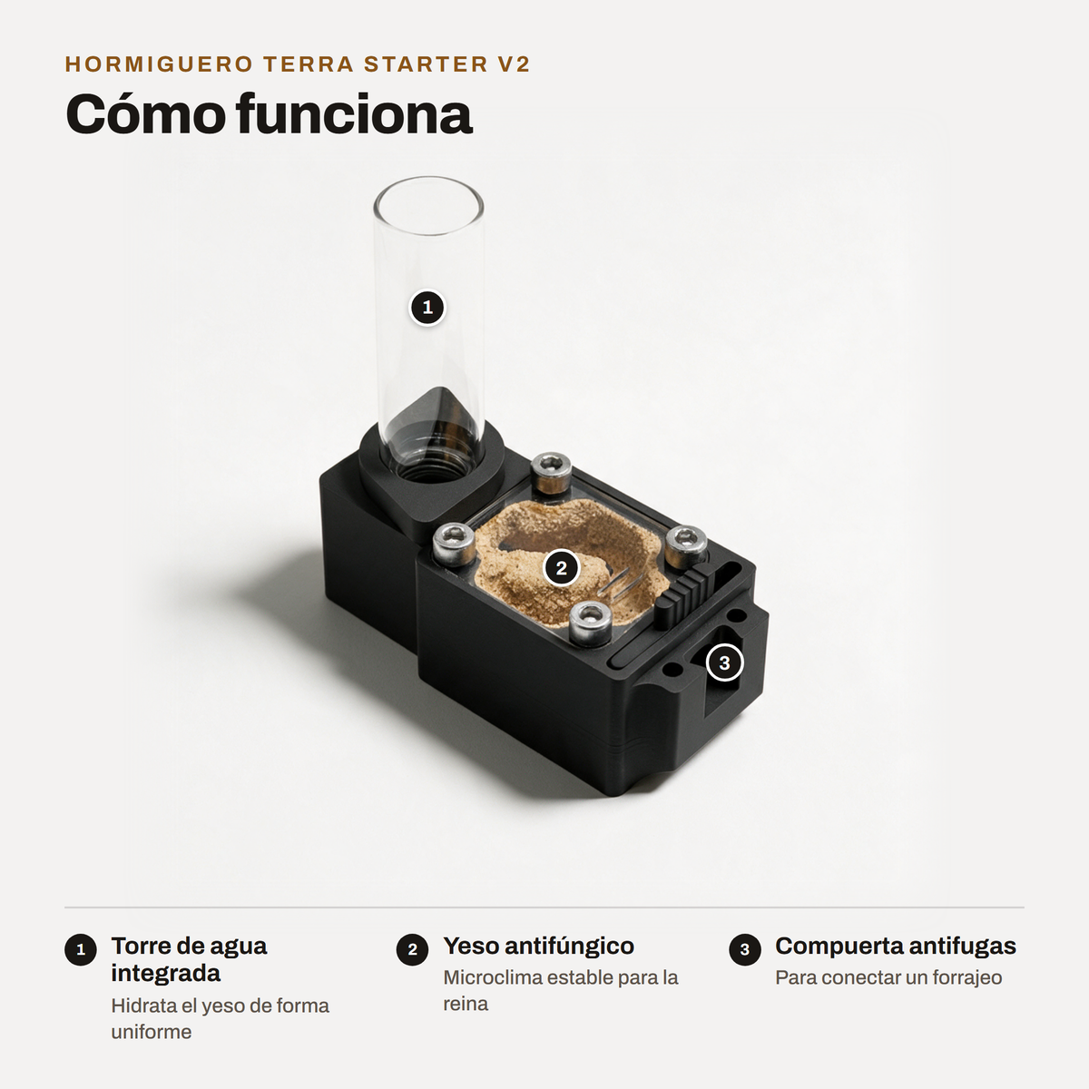 Hormiguero Terra Starter V2: cómo funciona