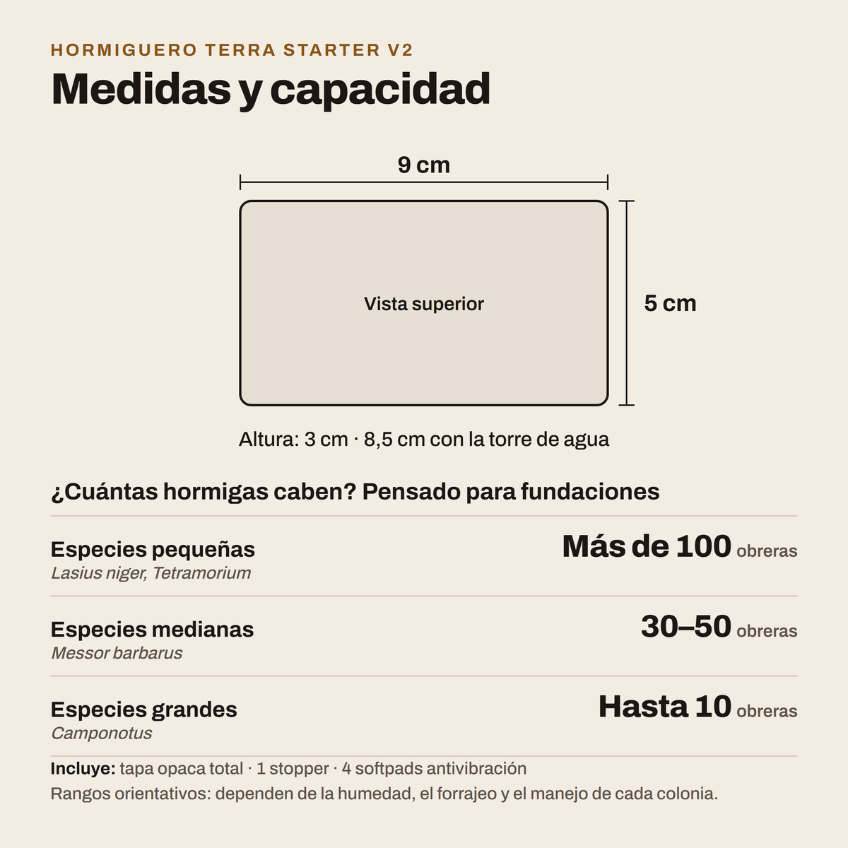 Hormiguero Terra Starter V2: medidas y capacidad