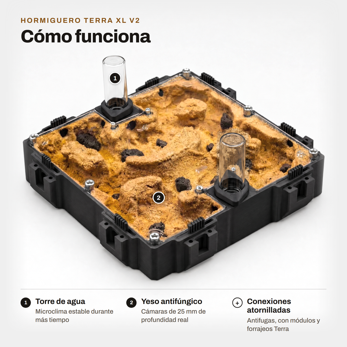 Hormiguero Terra XL V2: cómo funciona