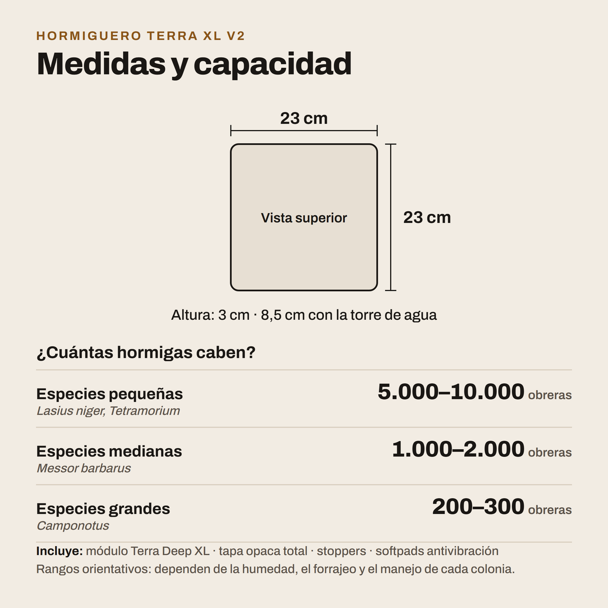 Hormiguero Terra XL V2: medidas y capacidad