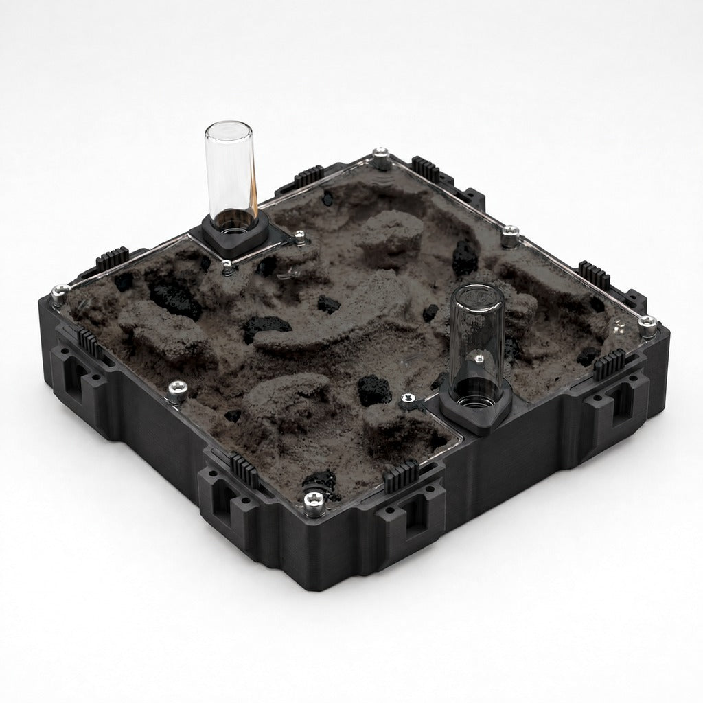 Hormiguero Terra XL V2 con yeso Sandust Black
