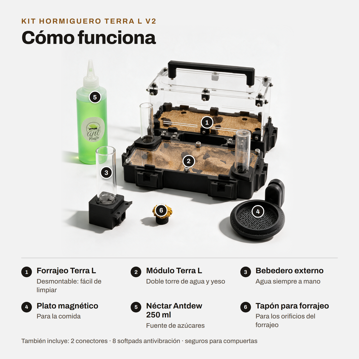 Kit Hormiguero Terra L V2: cómo funciona y qué incluye