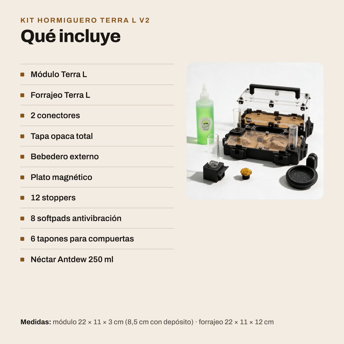 Kit Hormiguero Terra L V2: qué incluye