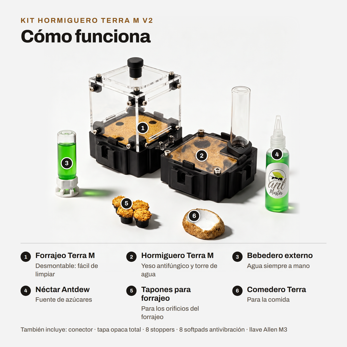 Kit Hormiguero Terra M V2: cómo funciona y qué incluye