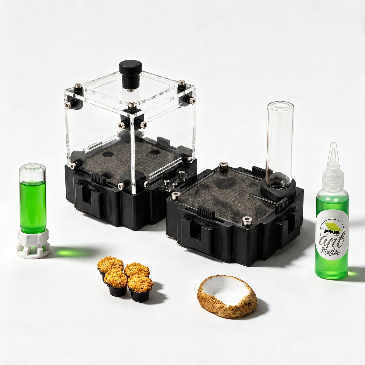 Kit Hormiguero Terra M V2 con yeso Sandust Black
