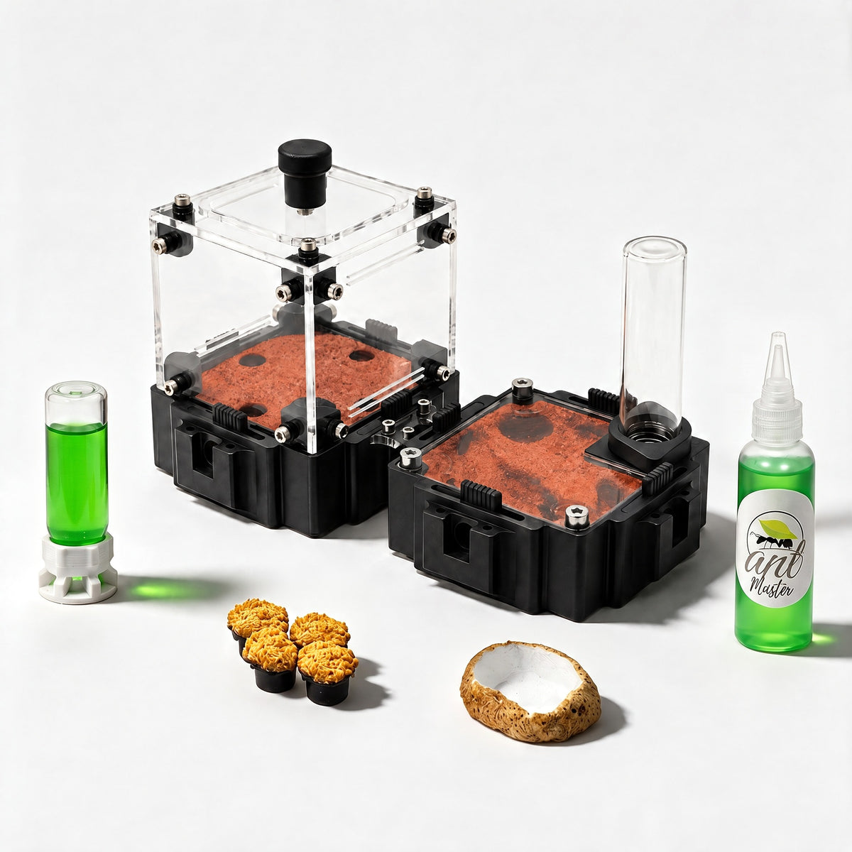 Kit Hormiguero Terra M V2 con yeso Sandust Red