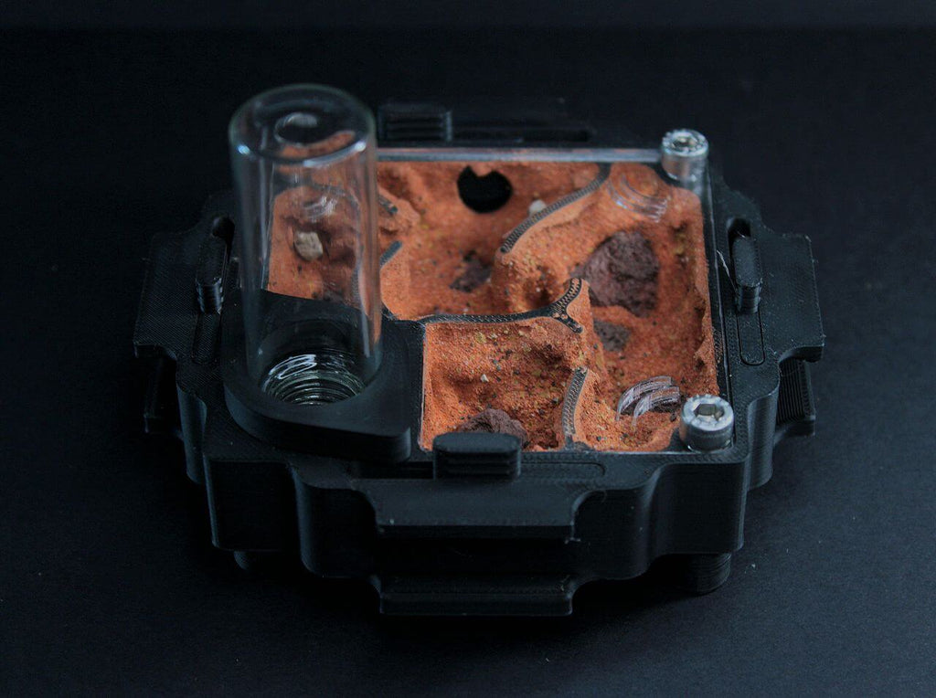 Hormiguero Terra M Deep