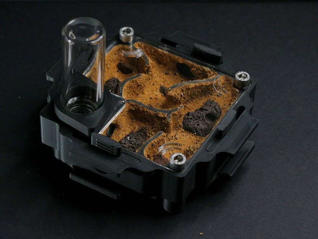 Hormiguero Terra M Deep