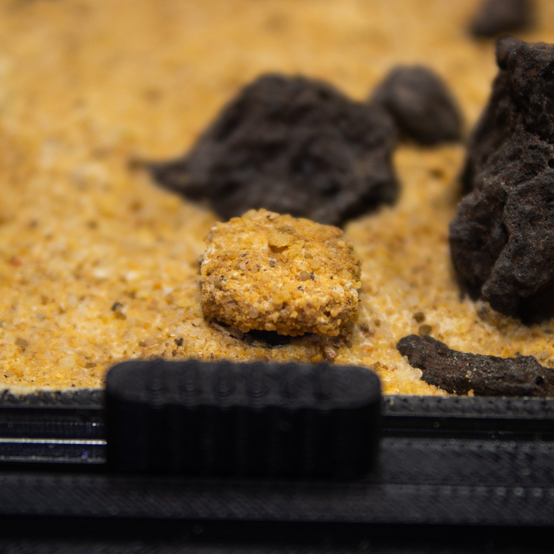 Tapón para forrajeos