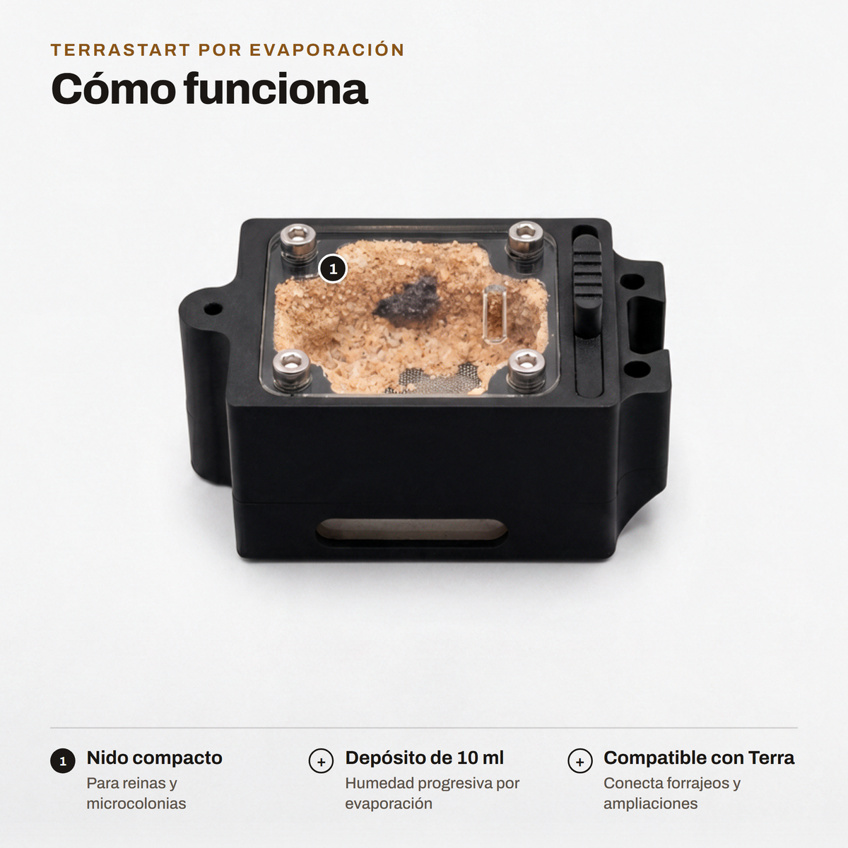 TerraStart por Evaporación: cómo funciona